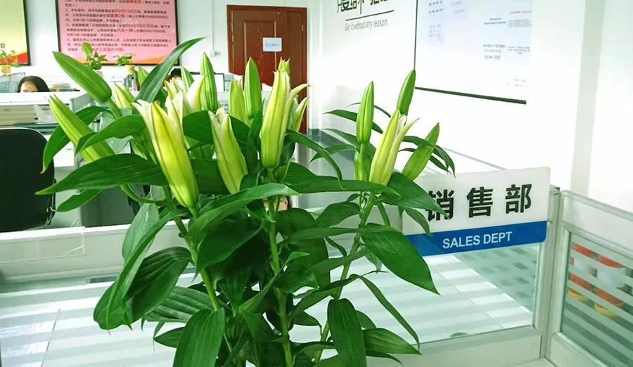 濃情七夕，最美祝福！